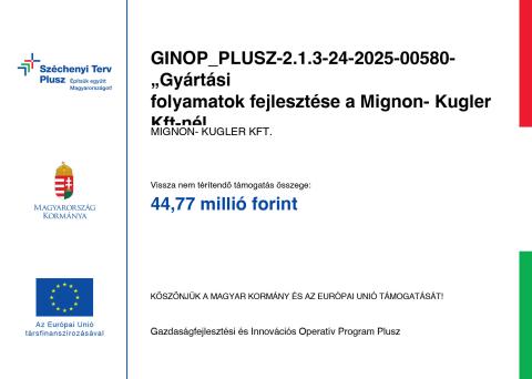 Gyártási folyamatok fejlesztése a Mignon- Kugler Kft-nél